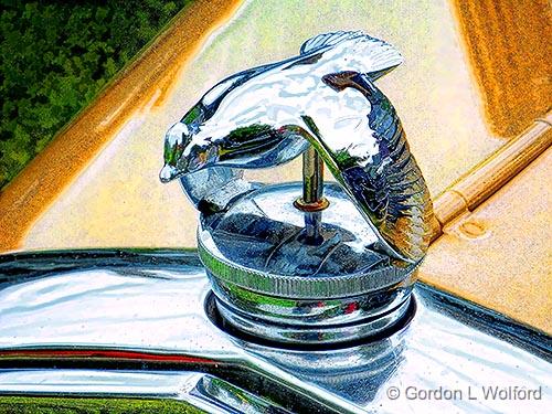 Flying Quail Radiator Cap_DSCF06782.jpg - Photographed at the Rolling Thunder Car Show in Smiths Falls, Ontario, Canada.